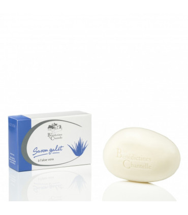 Savon galet aloe vera