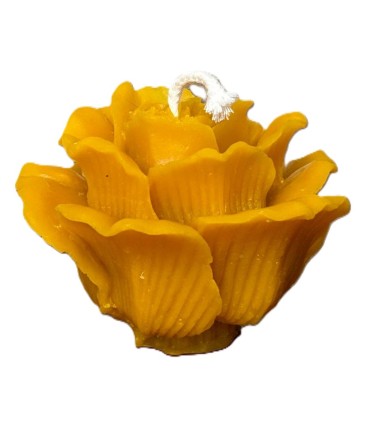 Bougie Rose de Noël