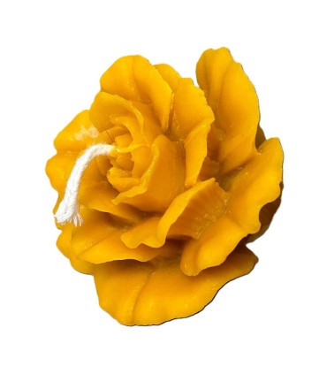 Bougie Rose de Noël