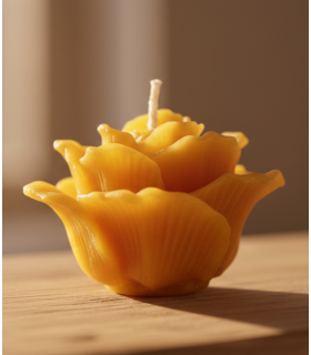 Bougie Rose de Noël