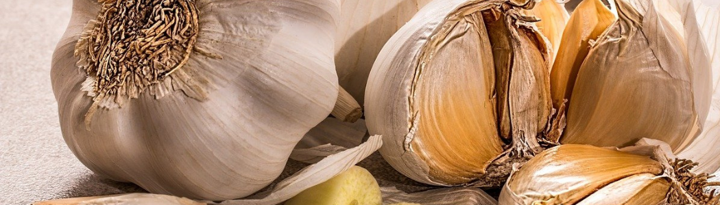 Tartinables, Olives et Graines