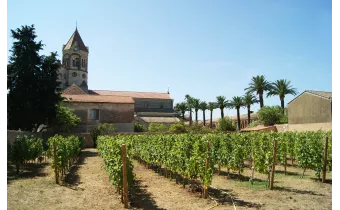 L'Abbaye de Lerins