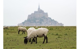 Abbaye du Mont Saint Michel