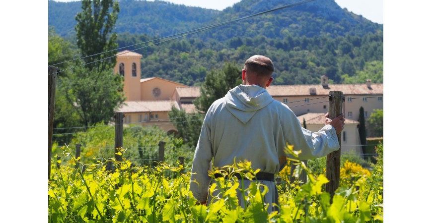 Les vins Via Caritatis : l’histoire du vignoble monastique du Barroux