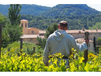 Les vins Via Caritatis : l’histoire du vignoble monastique du Barroux
